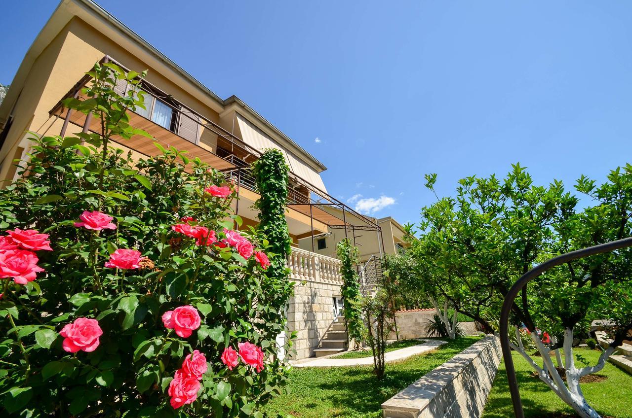 Apartmani Cetkovic Kotor Buitenkant foto